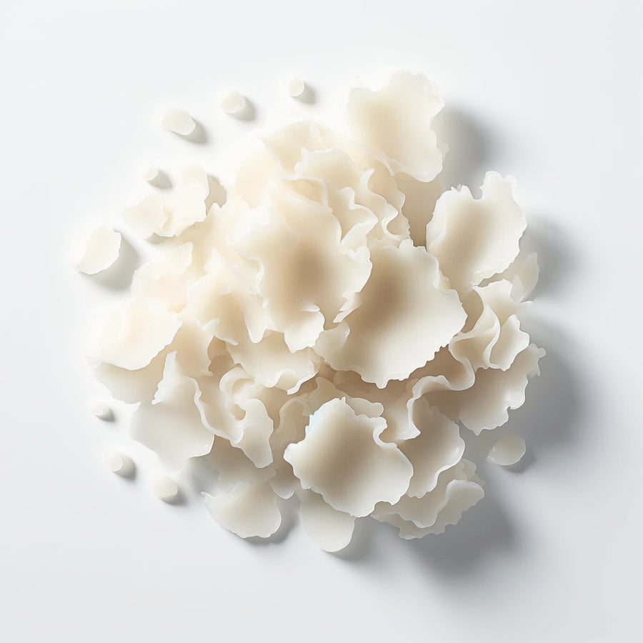 Meet Our Ingredients