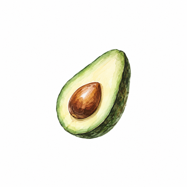 Avocado Oil